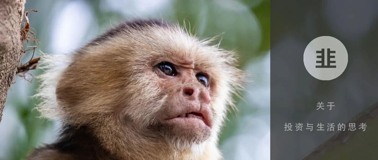 韭菜投资学 - 关于投资与生活的思考