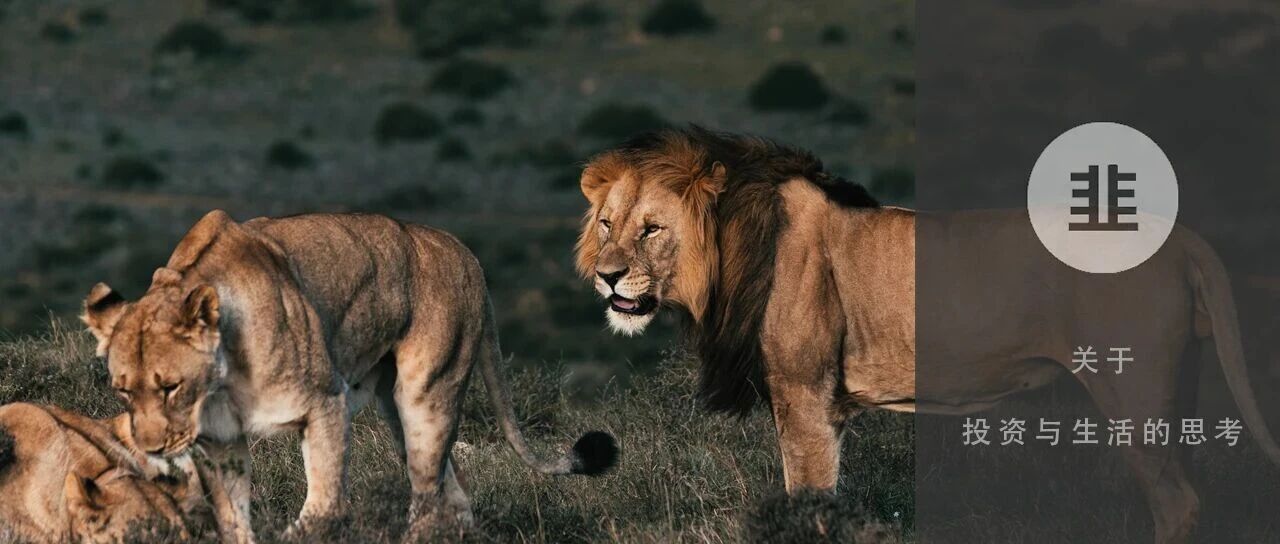 韭菜投资学 - 关于投资与生活的思考