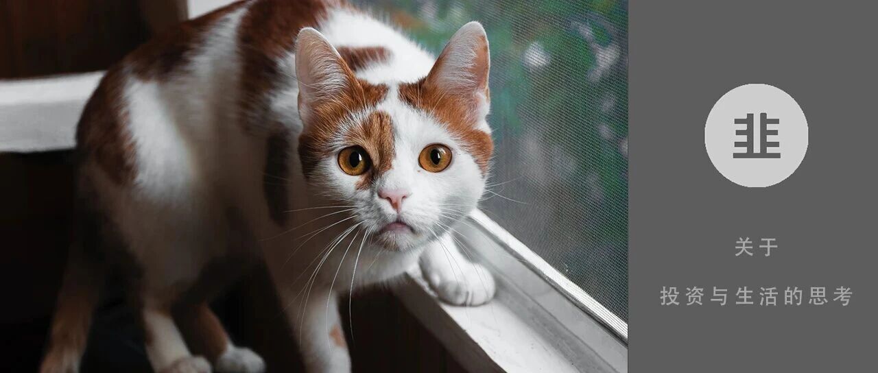 韭菜投资学 - 关于投资与生活的思考