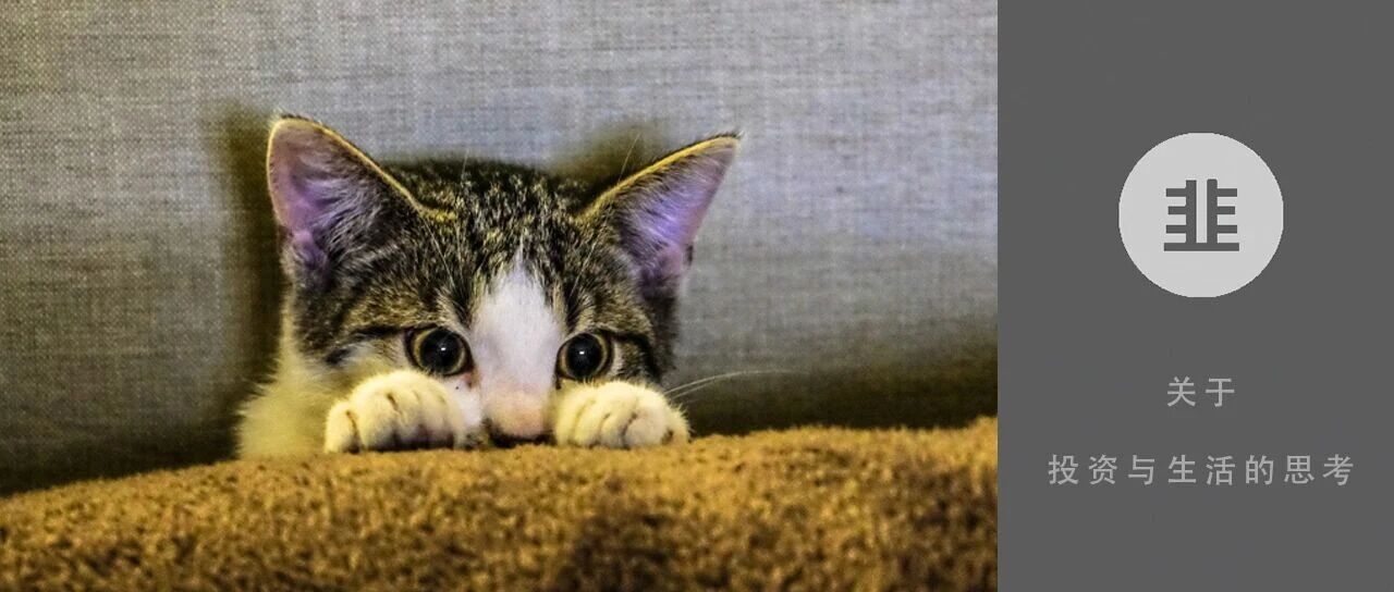 韭菜投资学 - 关于投资与生活的思考