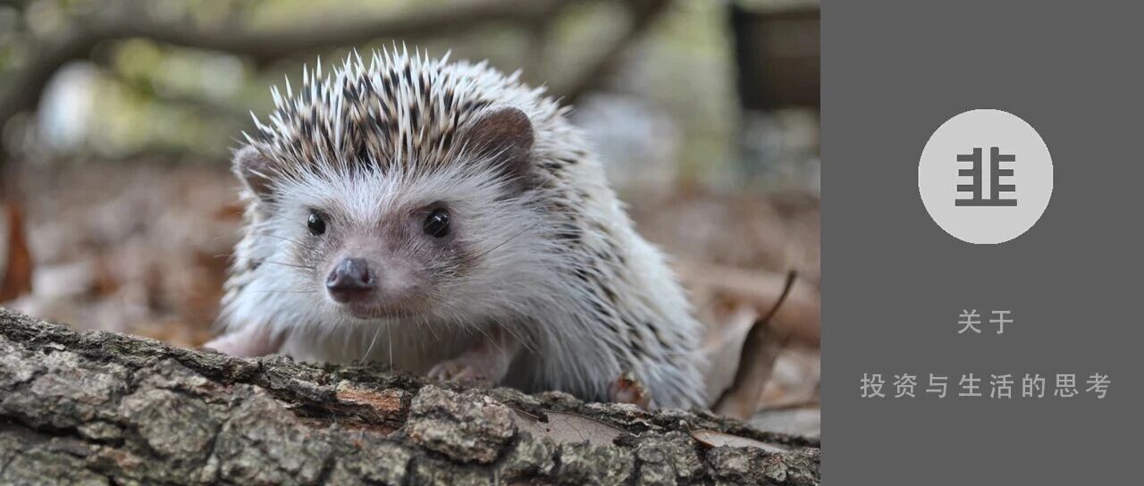 韭菜投资学 - 关于投资与生活的思考
