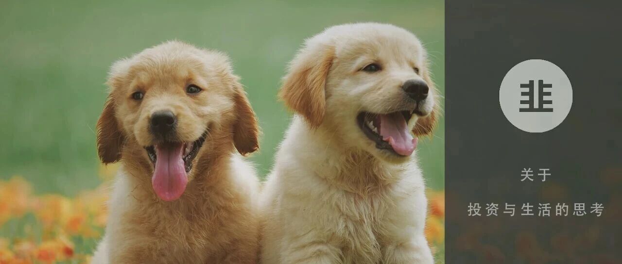 韭菜投资学 - 关于投资与生活的思考
