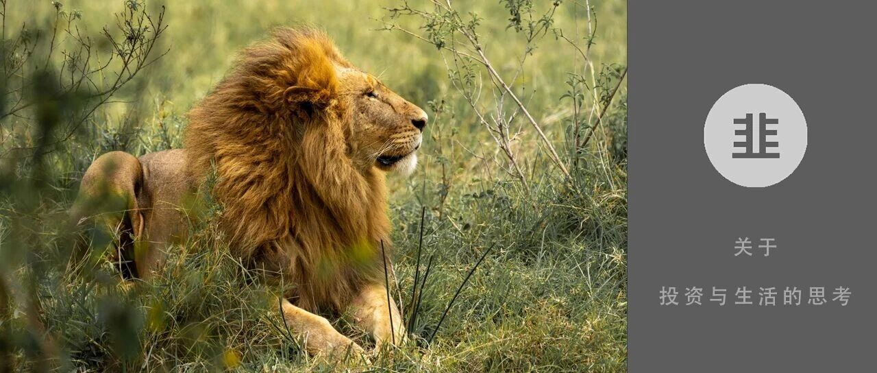 韭菜投资学 - 关于投资与生活的思考