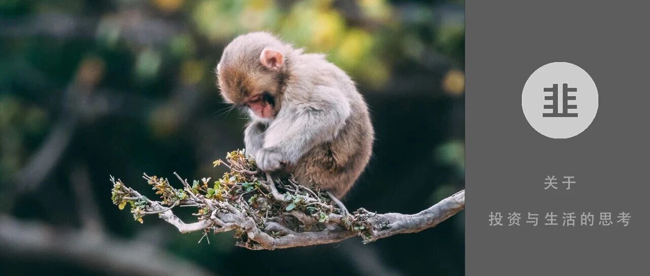 韭菜投资学 - 关于投资与生活的思考