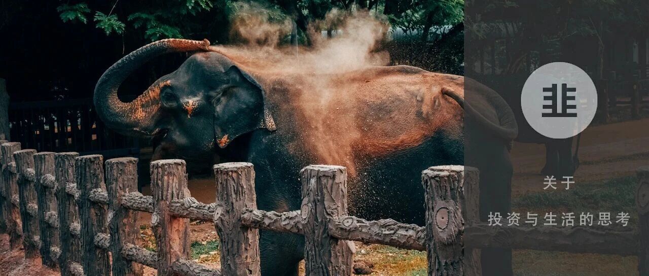 韭菜投资学 - 关于投资与生活的思考