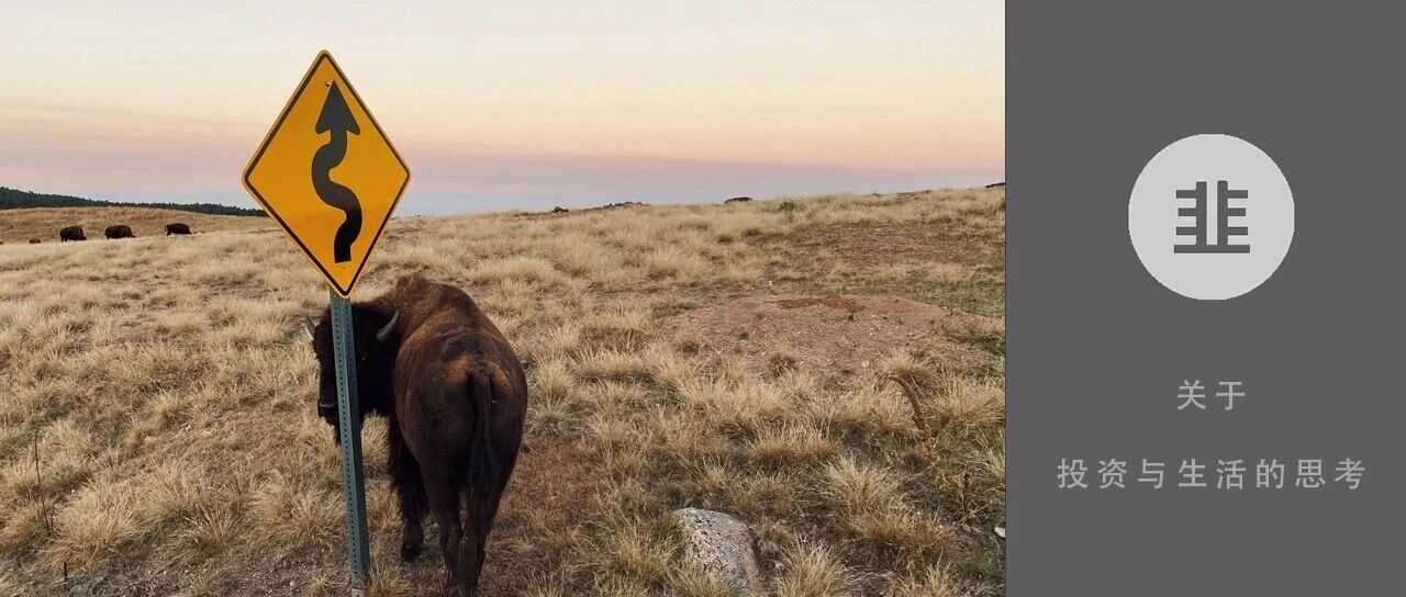 韭菜投资学 - 关于投资与生活的思考