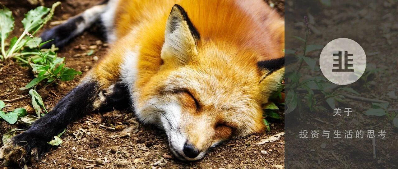 韭菜投资学 - 关于投资与生活的思考