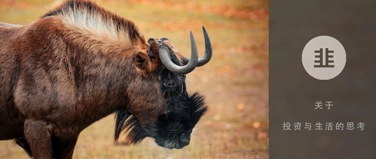 韭菜投资学 - 关于投资与生活的思考