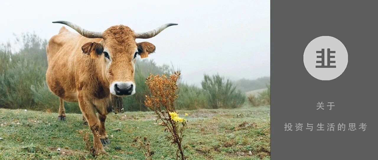 韭菜投资学 - 关于投资与生活的思考