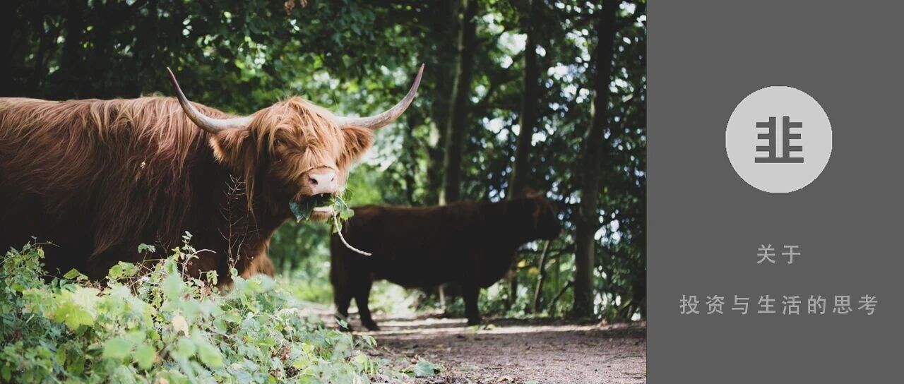 韭菜投资学 - 关于投资与生活的思考