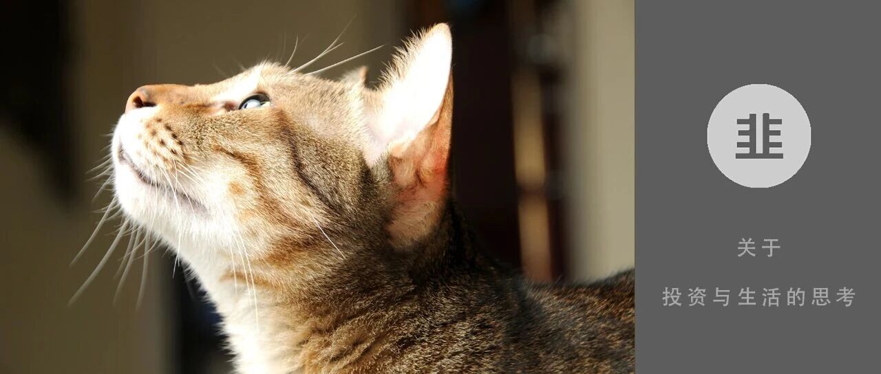 韭菜投资学 - 关于投资与生活的思考