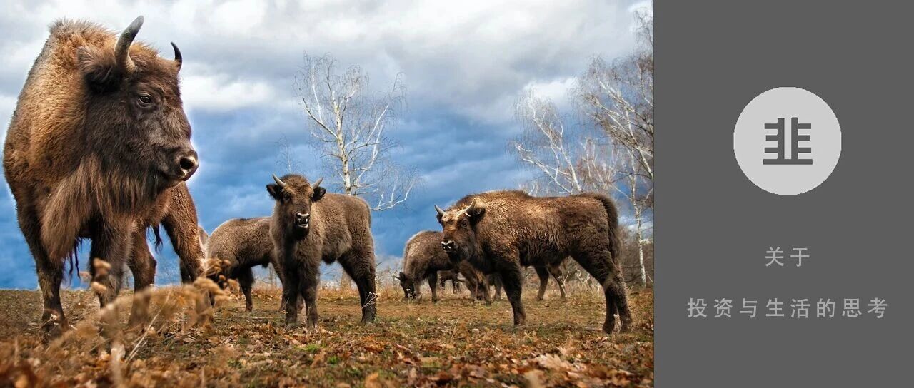 韭菜投资学 - 关于投资与生活的思考