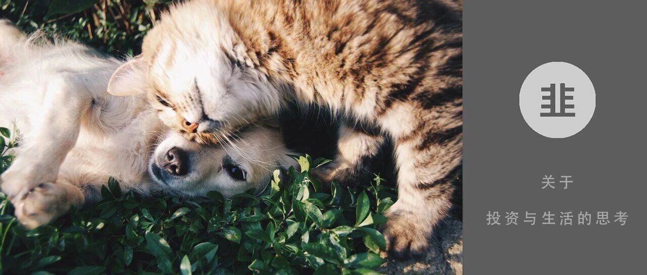 韭菜投资学 - 关于投资与生活的思考