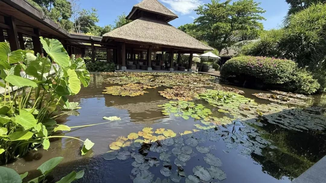 巴厘岛酒店都自带海滩和园林